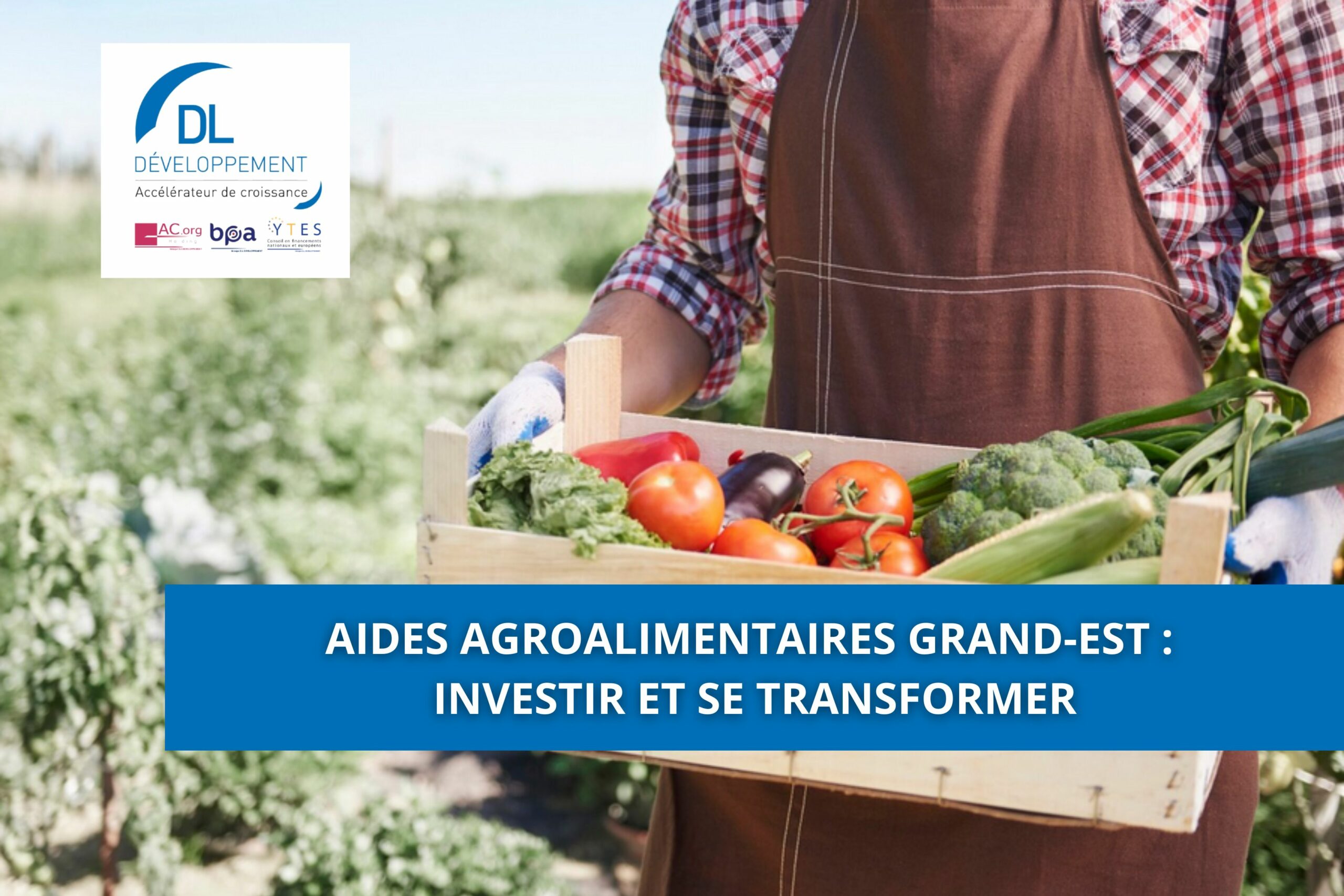 Aides agroalimentaires Grand-Est : investir et se transformer