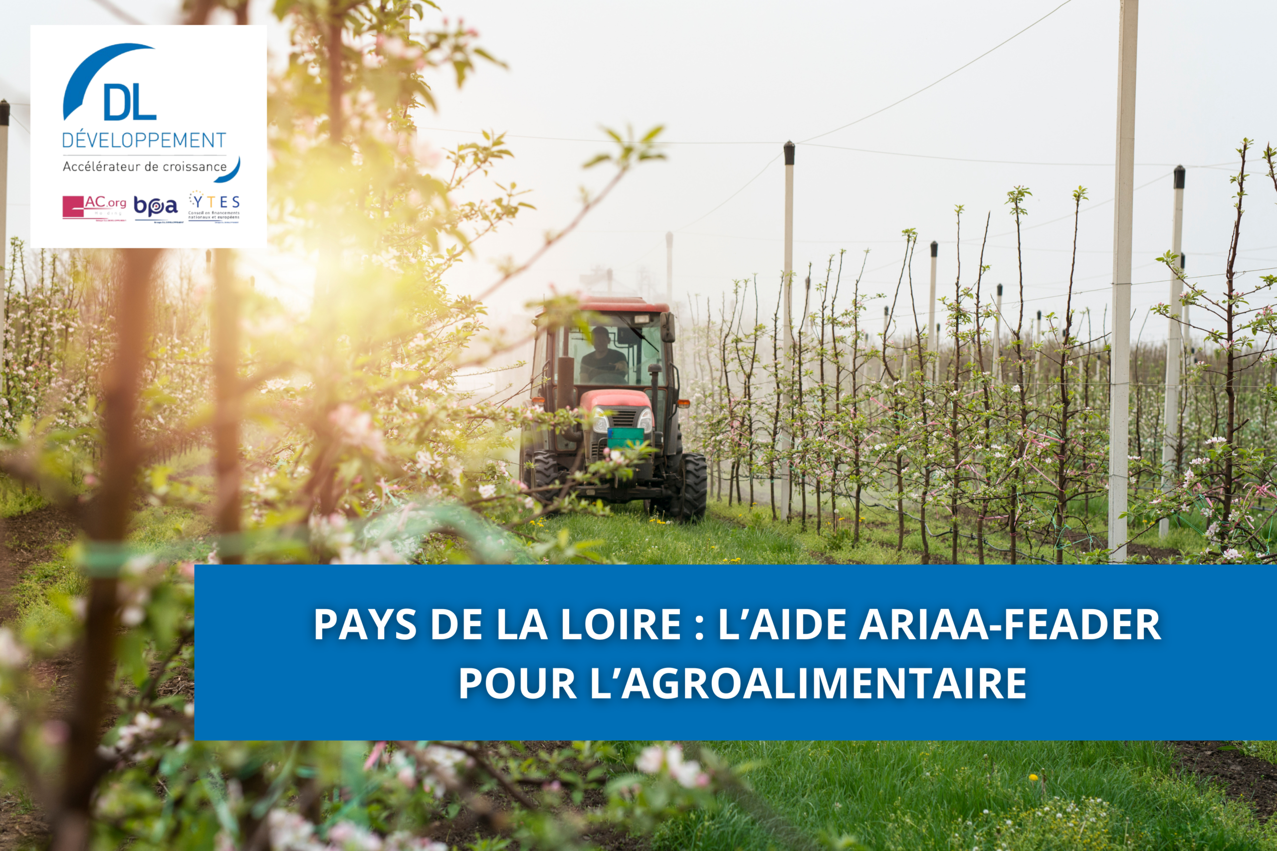 Pays de la Loire : l’aide ARIAA-FEADER pour l’agroalimentaire