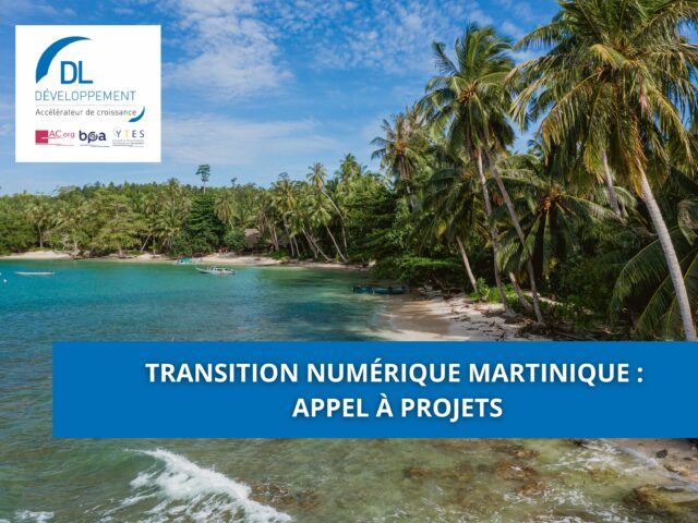 Transition Numérique Martinique : Appel à projets
