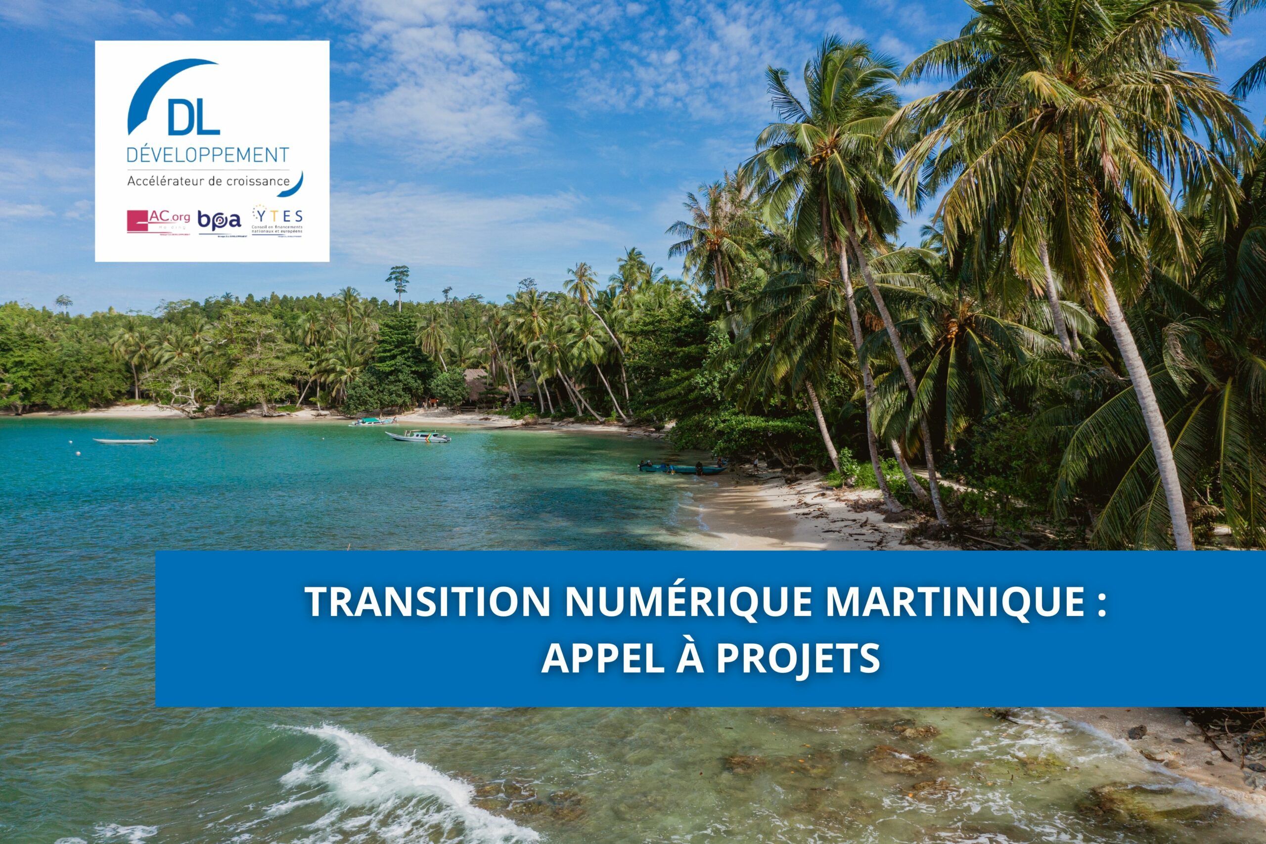 Transition Numérique Martinique : Appel à projets