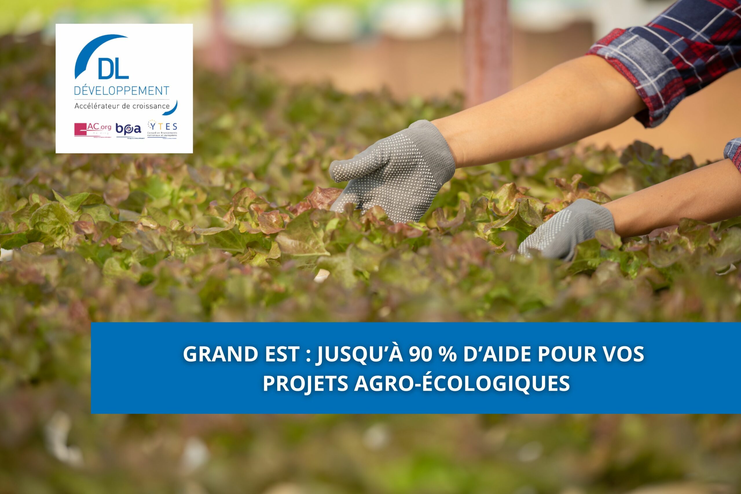 Grand Est : jusqu’à 90 % d’aide pour vos projets agro-écologiques