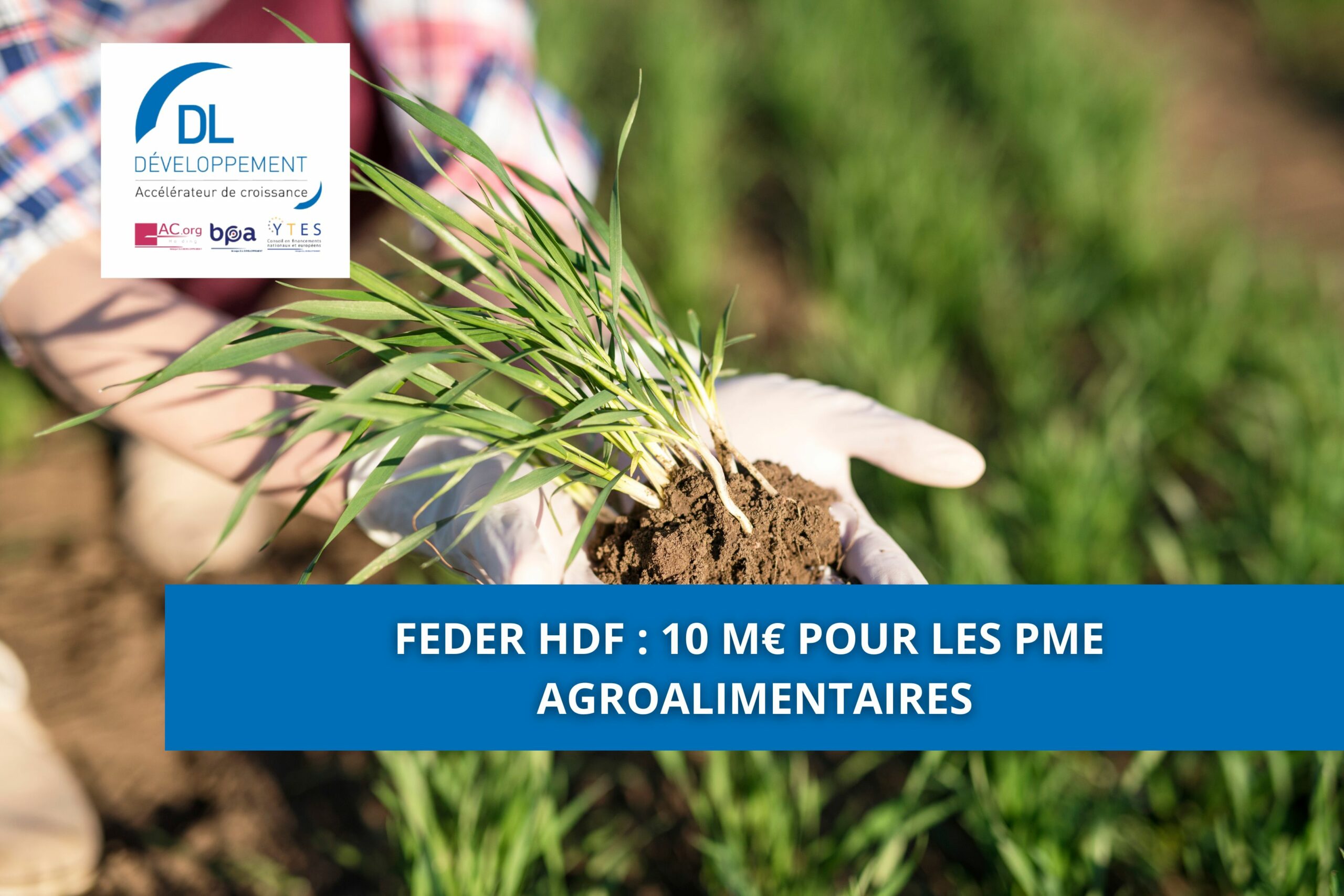 FEDER HDF : 10 M€ pour les PME agroalimentaires