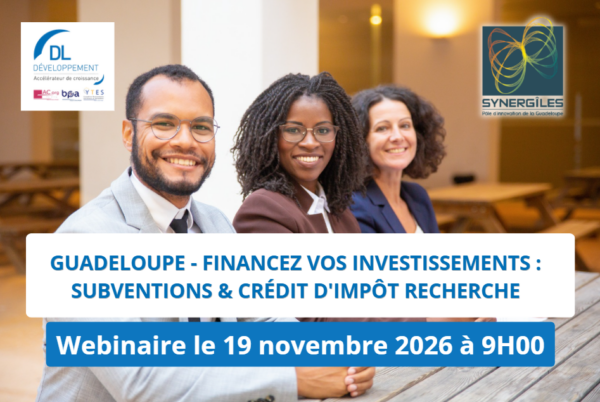 Webinaire DL DEVELOPPEMENT – SYNERGILES : Financez vos investissements