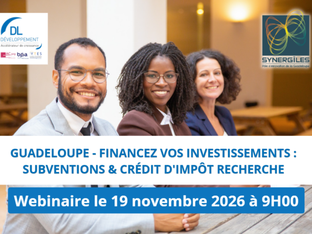 Webinaire DL DEVELOPPEMENT – SYNERGILES : Financez vos investissements